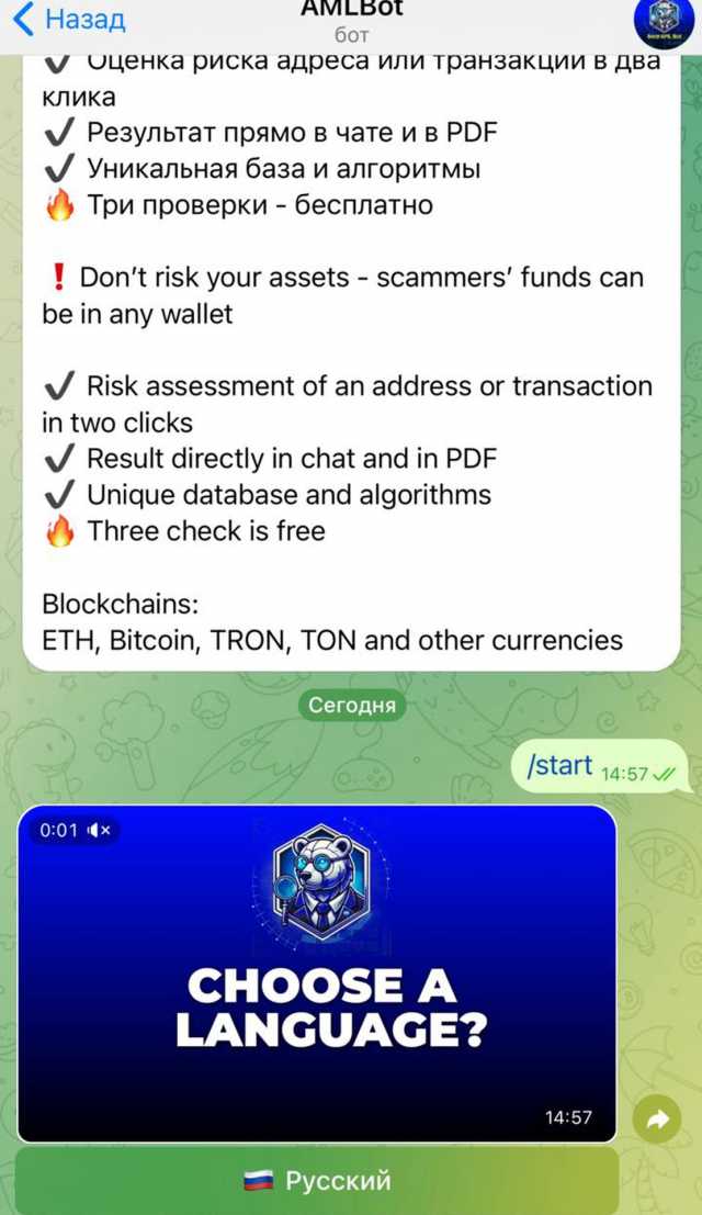 BearAML screenshot 2
