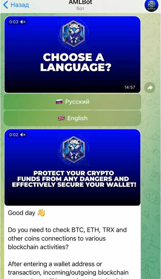BearAML screenshot 3