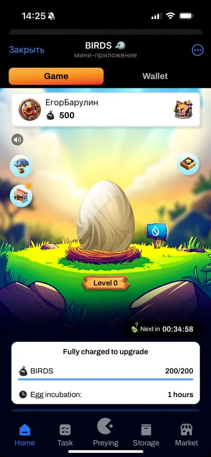 Birds screenshot 3