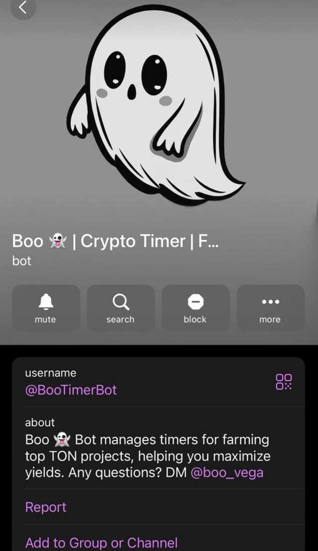 Boo 👻 Timer screenshot 1