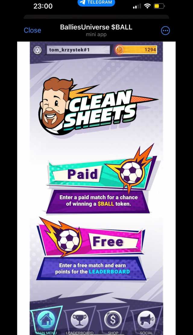 Clean Sheets screenshot 1