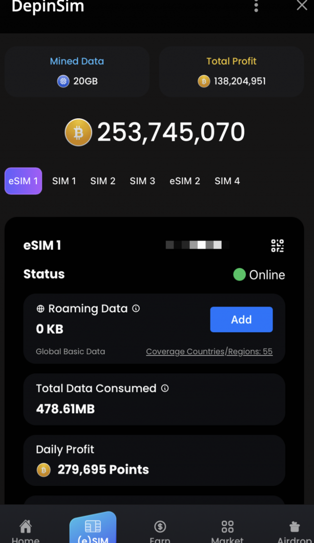 Depinsim screenshot 3