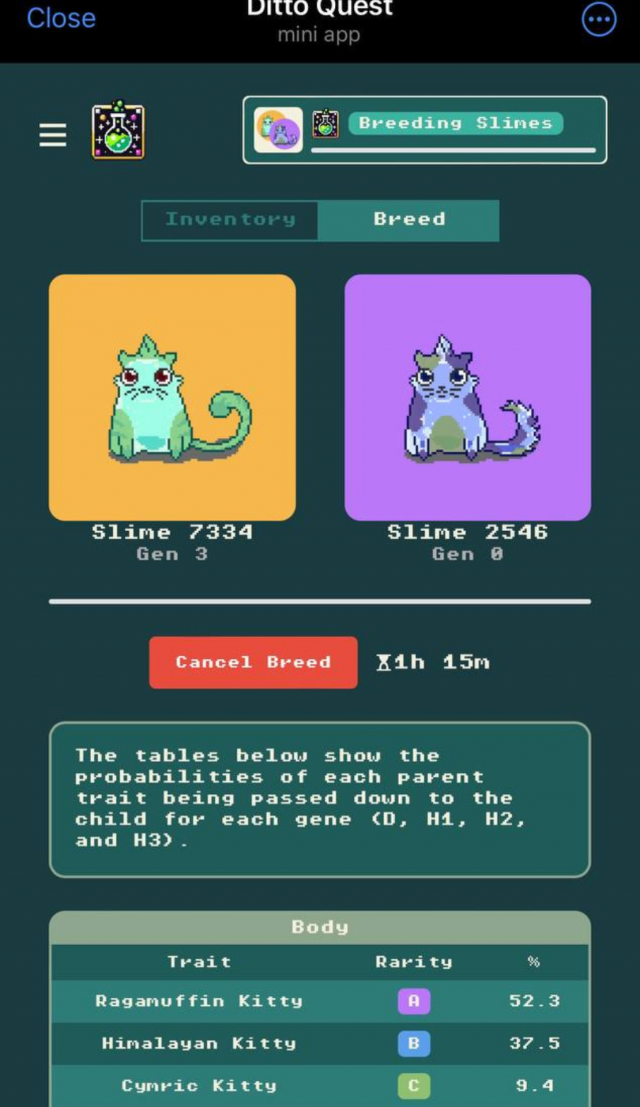 Ditto Quest screenshot 3