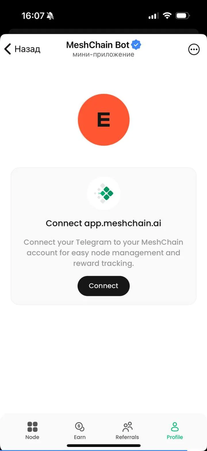 MeshChain Bot screenshot 1