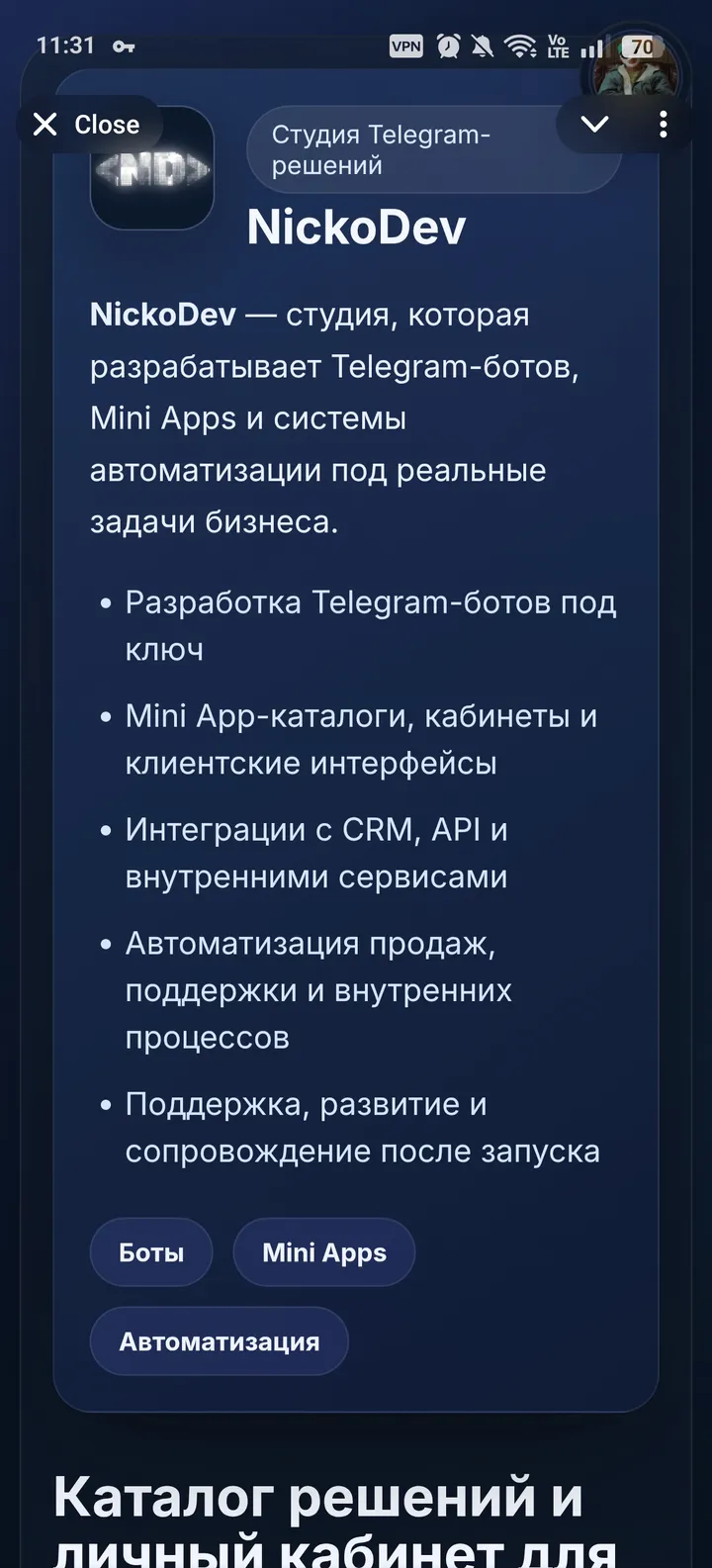NickoDev screenshot 1