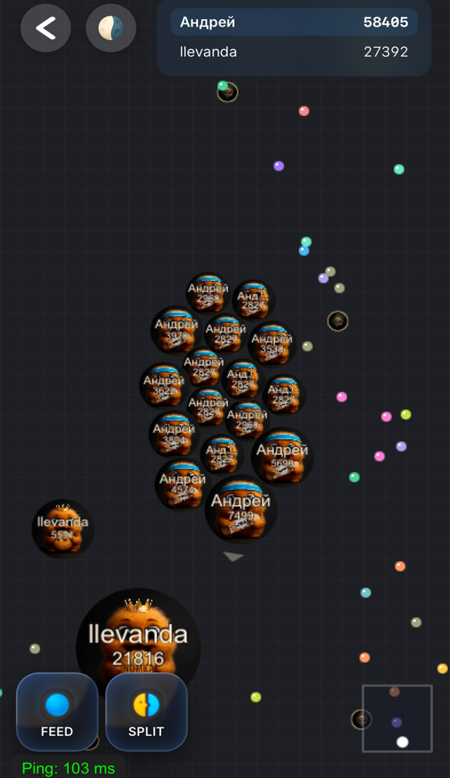 Nomka screenshot 2