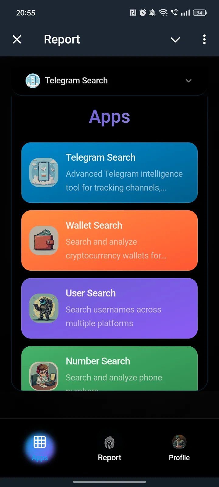 Report screenshot 4