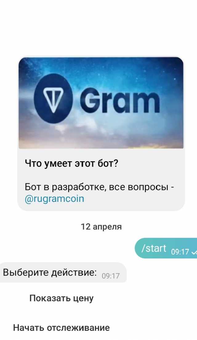RuGramCoin Bot screenshot 2