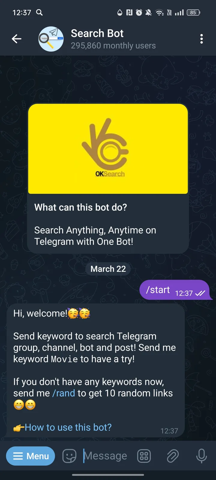 Search Bot screenshot 1