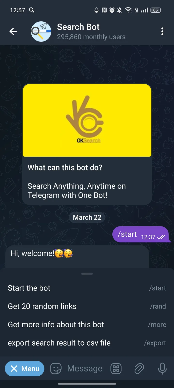 Search Bot screenshot 2