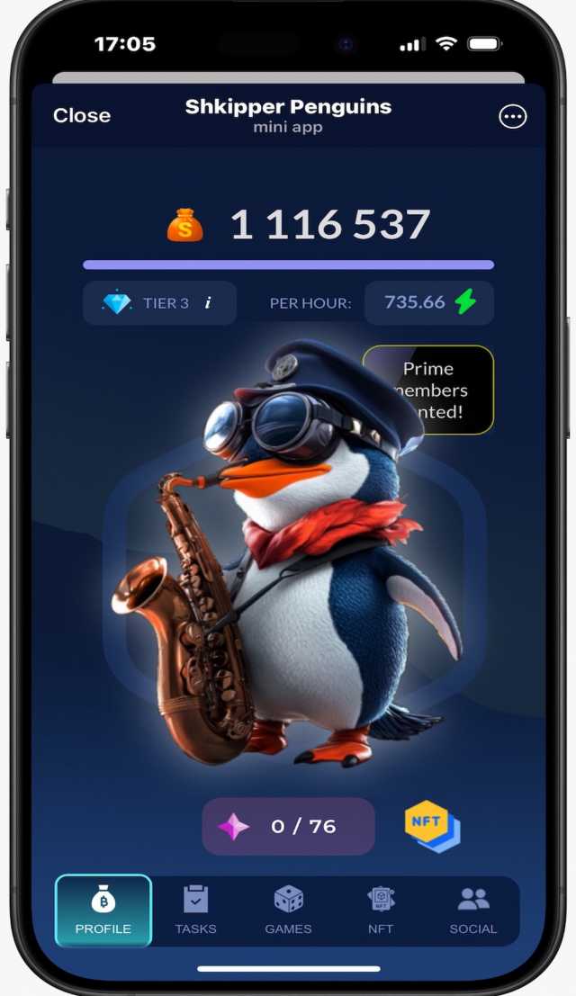 Shkipper Penguins screenshot 1