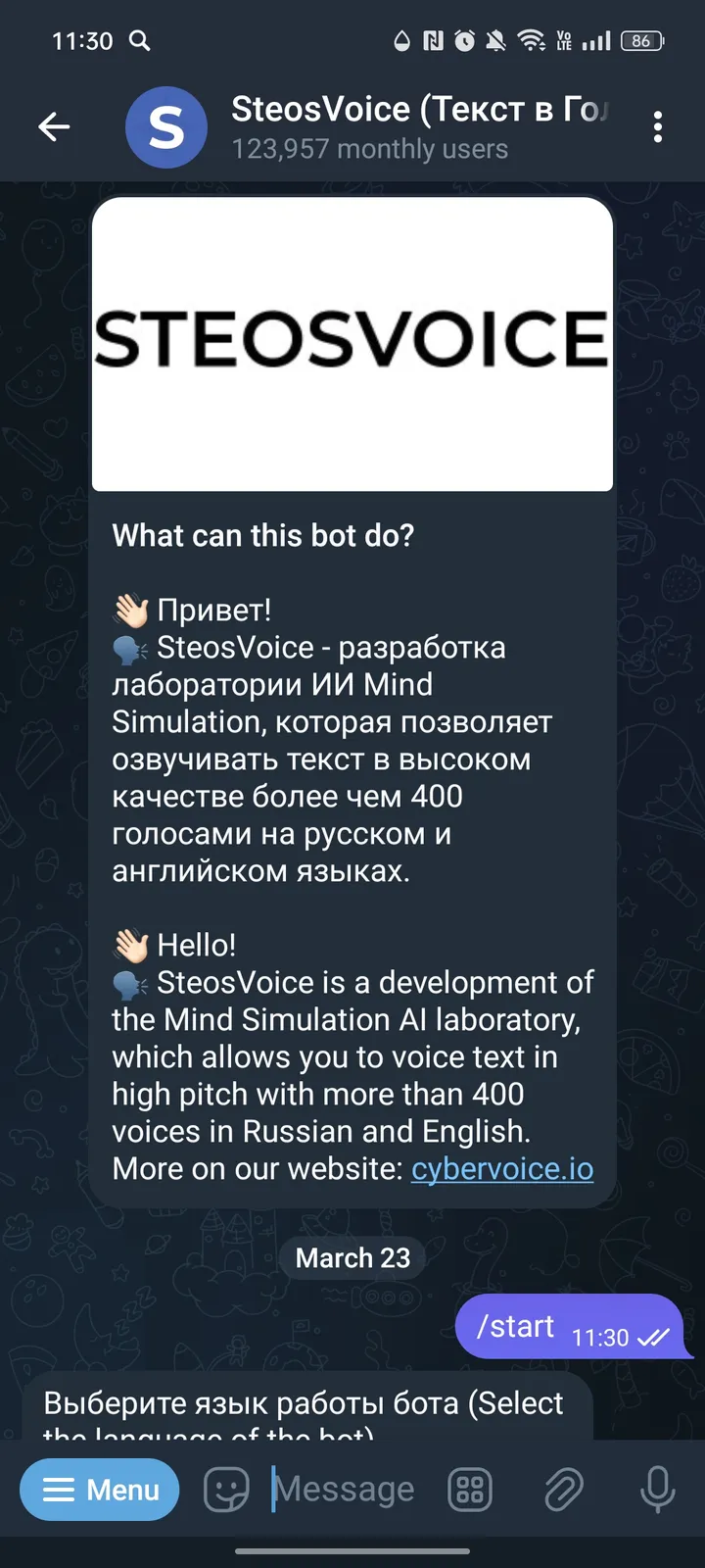 SteosVoice (Текст в Голос) screenshot 1