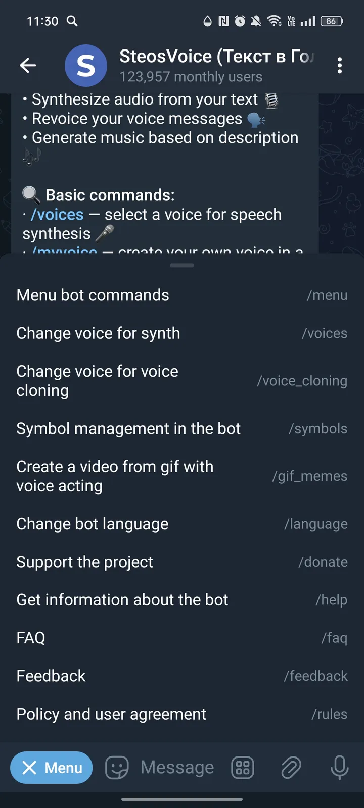 SteosVoice (Текст в Голос) screenshot 3