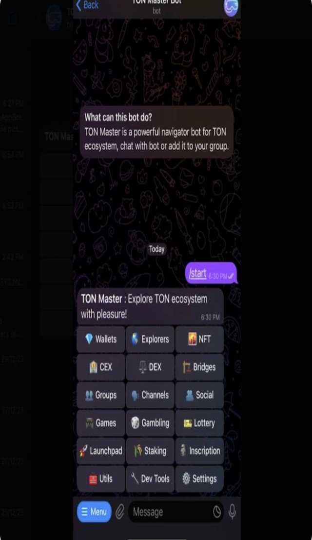 TON Master Bot screenshot 1