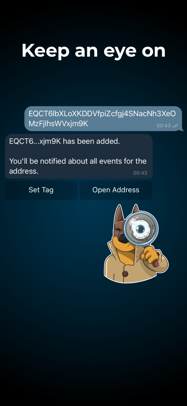 TON Notify Bot screenshot 1