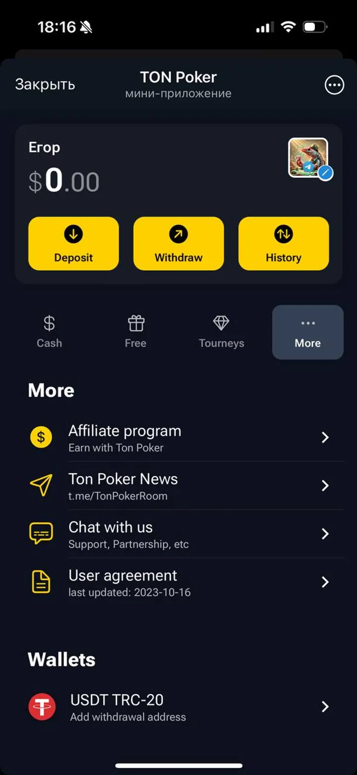 TON Poker screenshot 2