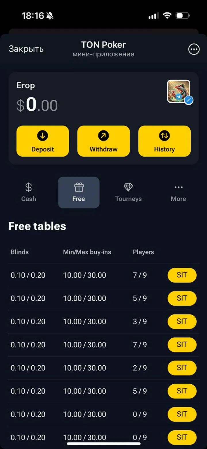 TON Poker screenshot 3