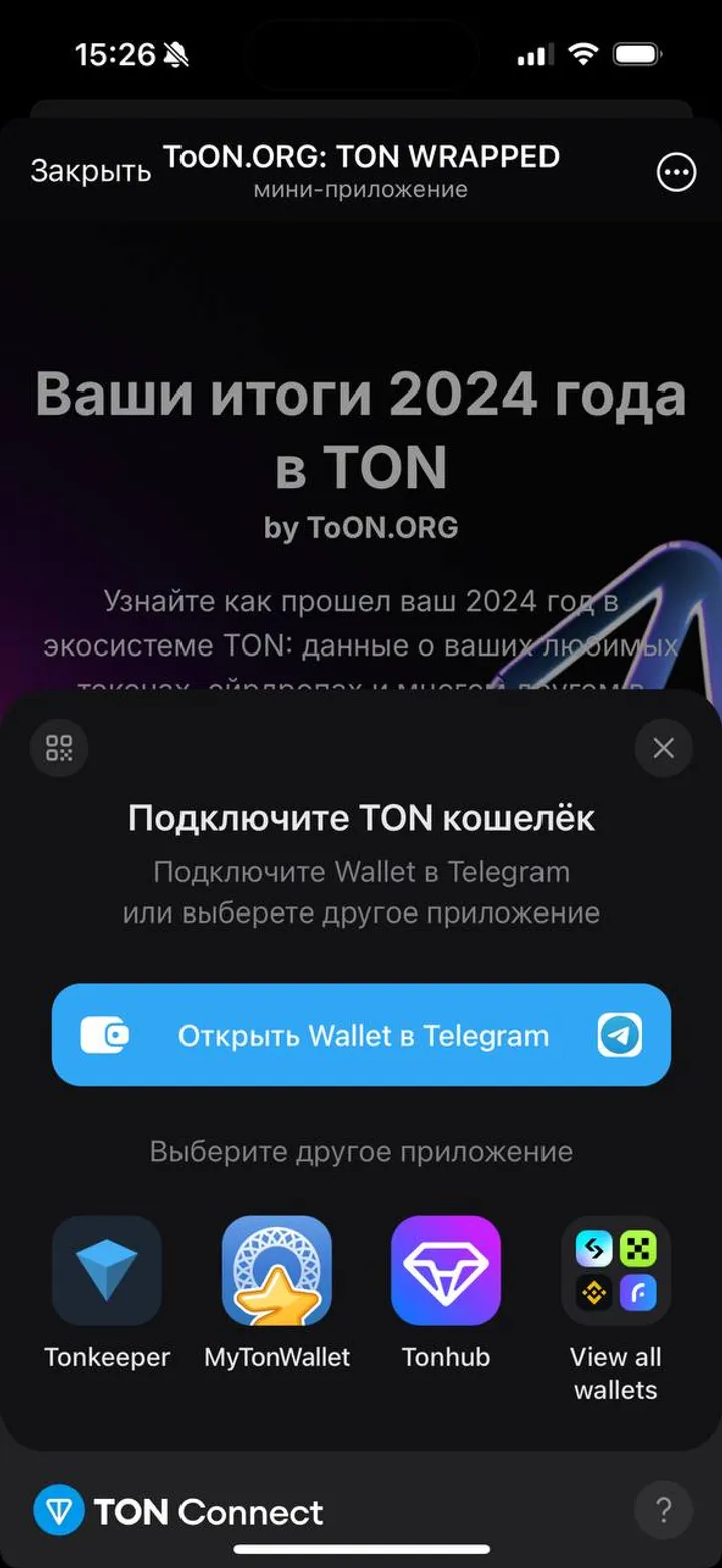 ToON.ORG: TON WRAPPED screenshot 1