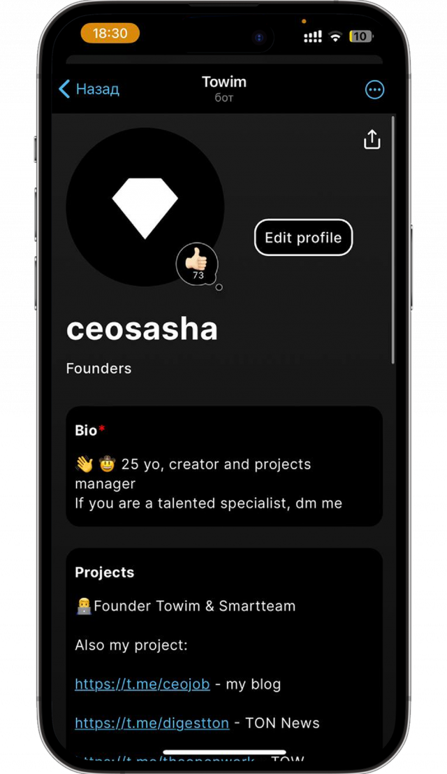 Towim screenshot 2