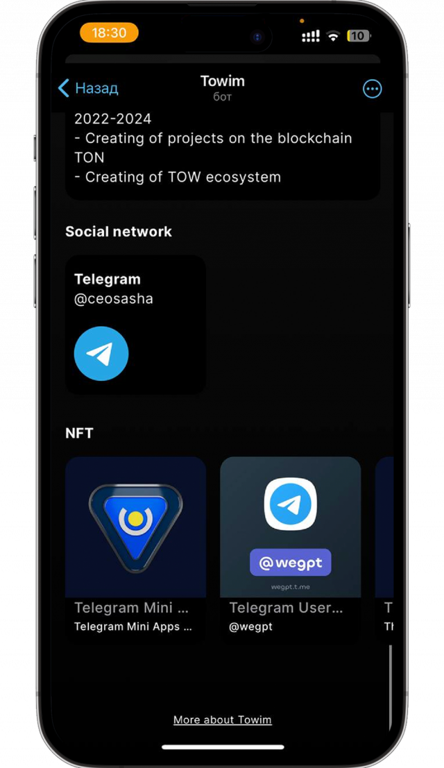 Towim screenshot 3